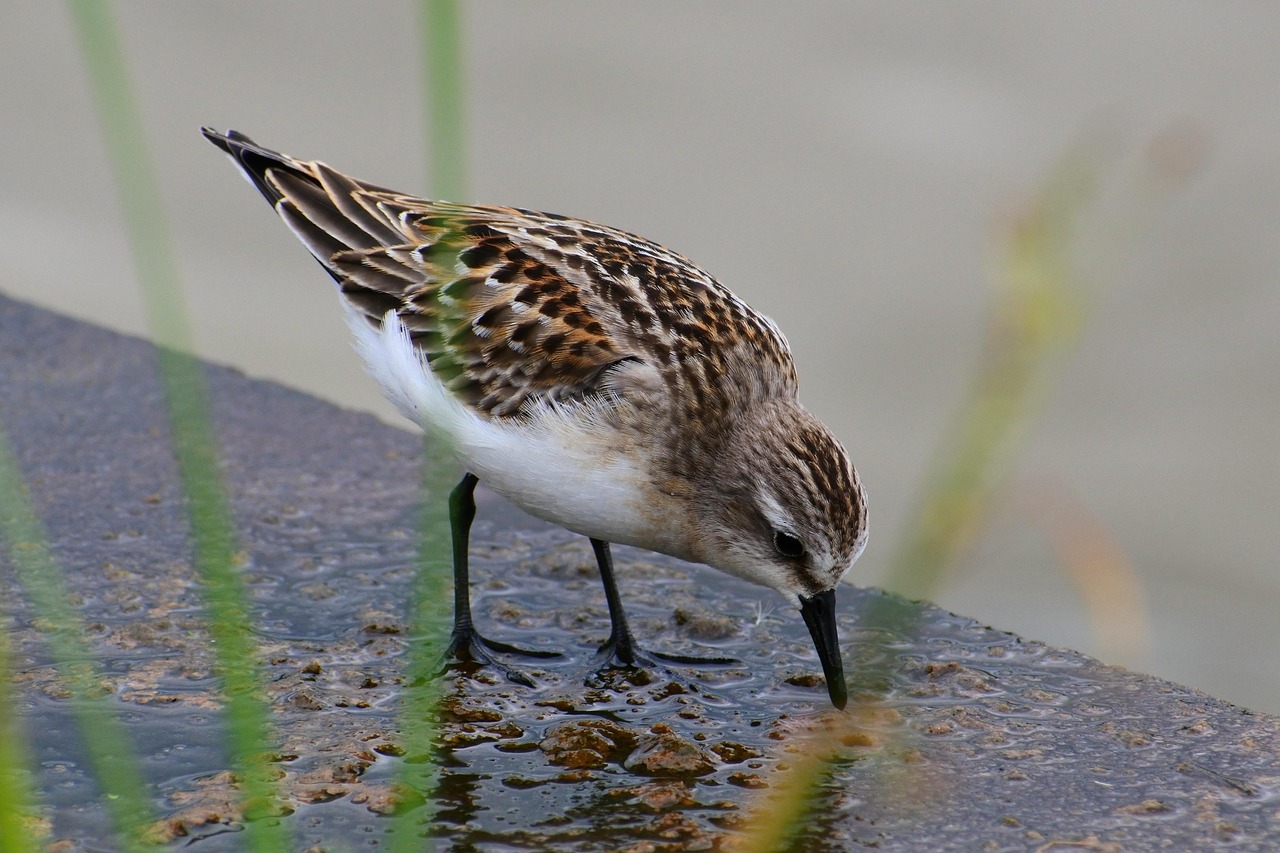 découvrez le rôle d’un account manager : gestion de portefeuille clients, optimisation des relations commerciales, développement des ventes et satisfaction client au sein de votre entreprise.