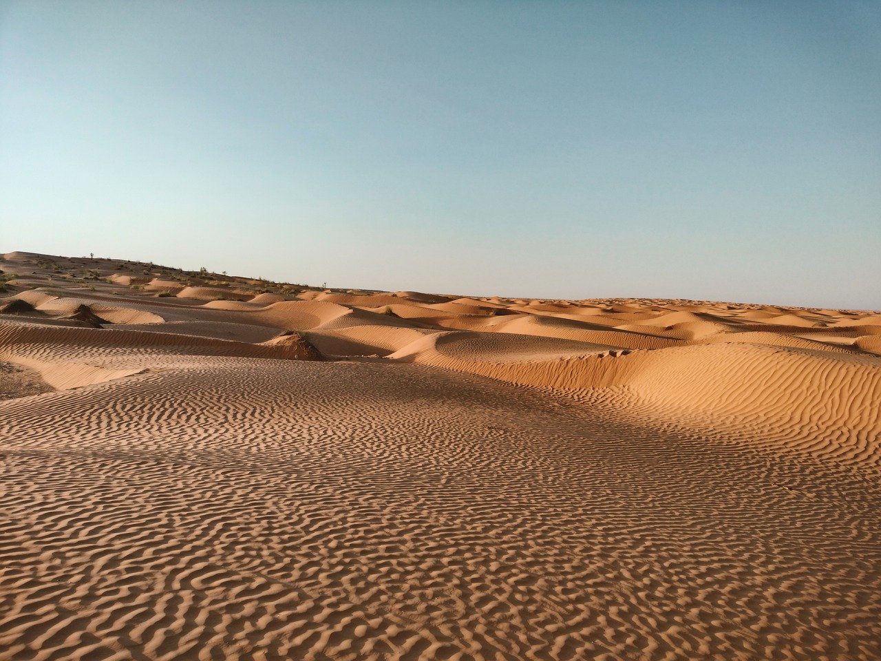 découvrez les meilleures stratégies de vente à distance pour maximiser vos résultats commerciaux, améliorer la communication avec vos clients et réussir dans un environnement digital.