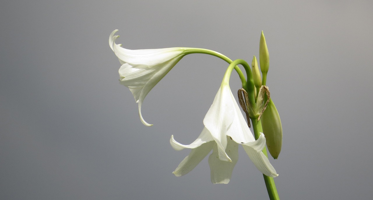 découvrez les secteurs prometteurs offrant de nombreuses opportunités de croissance et d'innovation pour investir et développer votre carrière.